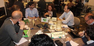 CAS Assistant Director, Dr. Julia Bello attending the Expert Consultation Meeting in the Netherlands