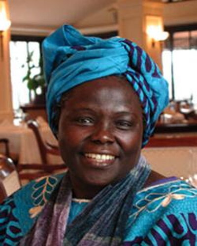 Wangari 